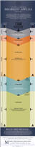 Infograph of the Social Security Disability appeals process